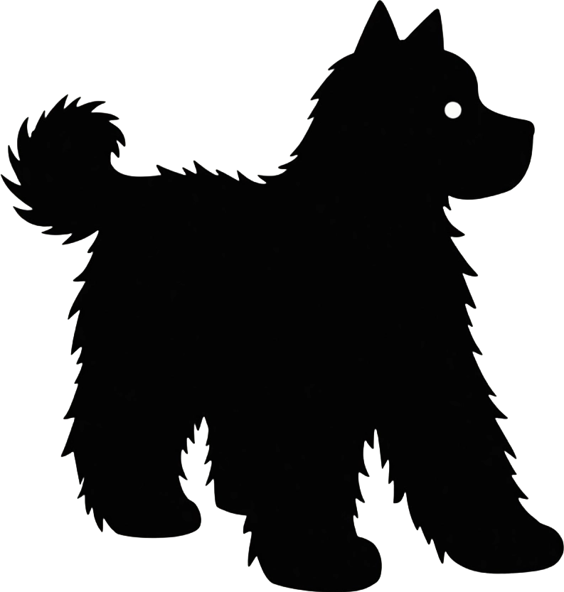 Silhouette of a Fluffy Dog